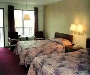 Photo 4 - Twinkle Inn