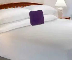 Photo 2 - Twinkle Inn