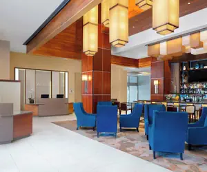 Photo 5 - The Westin Crystal City Reagan National Airport