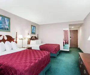 Photo 5 - Baymont by Wyndham Queensbury / Lake George