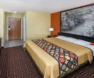 Photo 4 - Super 8 by Wyndham Rochester