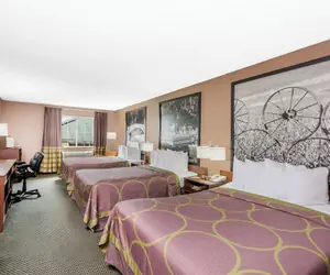 Photo 2 - Super 8 by Wyndham Winfield/Quail Ridge Area