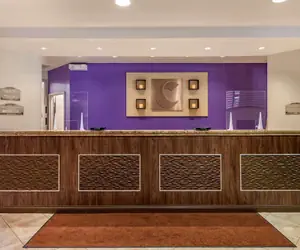 Photo 4 - Comfort Suites Maingate East