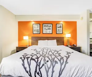 Photo 3 - Wingate by Wyndham Leesburg Florida