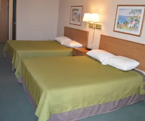 Photo 5 - St Paul Inn