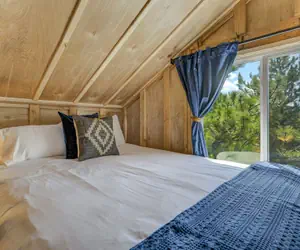 Photo 5 - Tree Eagles Nest