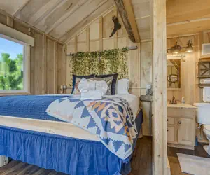 Photo 2 - Tree Eagles Nest