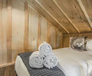 Photo 3 - Tree Eagles Nest