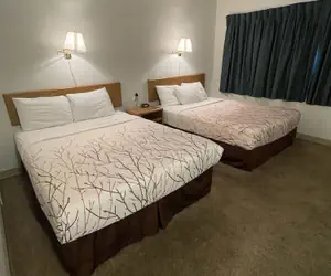 Photo 5 - Aisling Suites-The Midtown