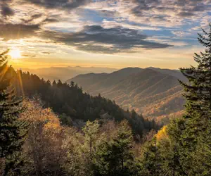 Photo 5 - Bear Elegance by Smoky Cove Resort