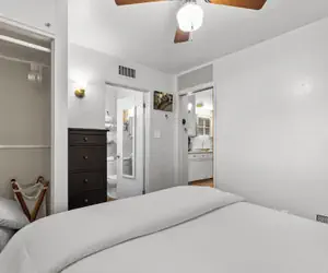 Photo 4 - Sunlit Palm Cottage in Uptown Phoenix