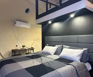 Photo 4 - White Camel