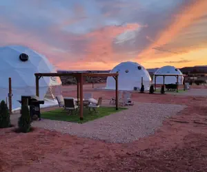 Photo 2 - White Camel