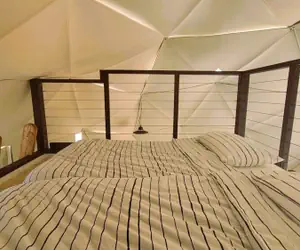 Photo 5 - White Camel