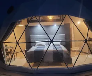 Photo 3 - White Camel