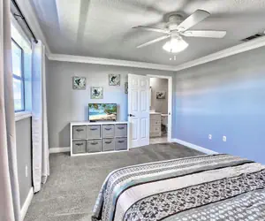 Photo 5 - Sea Shell 28