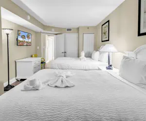 Photo 5 - Carolinian 431