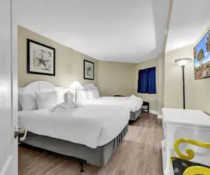 Photo 3 - Carolinian 431