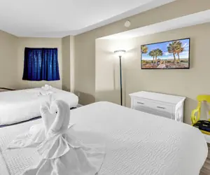 Photo 4 - Carolinian 431