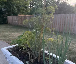 Photo 2 - Luxury Modern Stay - 2000 Sqft