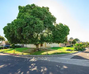 Photo 2 - Cozy Stylish Home Spacious Fully Equipped Stay