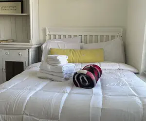 Photo 4 - Perfect Short-Term Rental