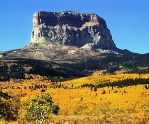 Photo 5 - Paradise Park