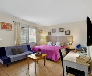 Photo 3 - Pet-friendly 1BR Studio w/ Parking & Bbq, Hollywood