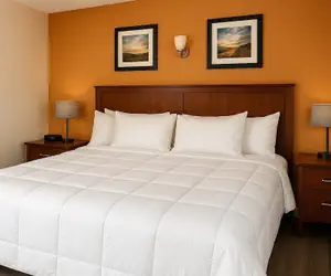 Photo 3 - Atlantic Breeze Motel & Apartments