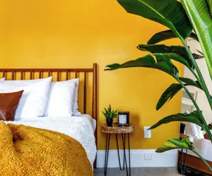 Photo 5 - Jungle House Boutique Residences – Downtown Columbus & Short North