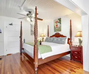 Photo 5 - Hibiscus House Bed Breakfast Inn Parrot Room