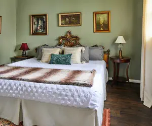 Photo 3 - Apt2 Edenbrae - Walkable Southern Gothic Mansion