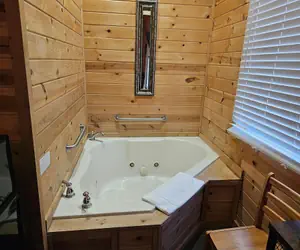 Photo 5 - Honey Bear Haven Suite 5