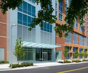 Photo 2 - Hala tysons