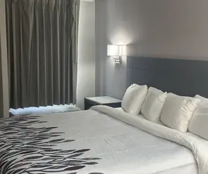 Photo 3 - Red Roof Inn Media