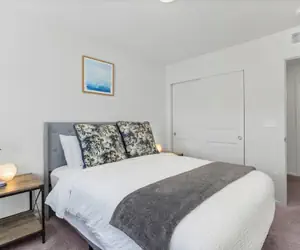 Photo 3 - Pelican Landing Modern 3BD in Lakes at Centerra