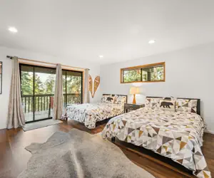 Photo 5 - Modern Primrose