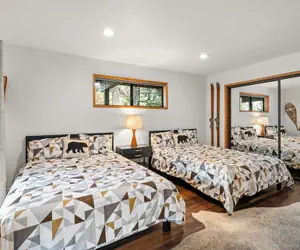 Photo 3 - Modern Primrose