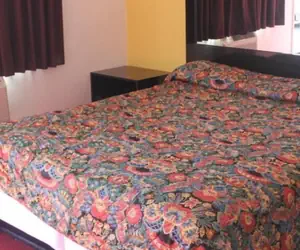 Photo 5 - CINEMA MOTEL