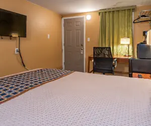 Photo 3 - Town Motel