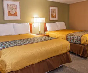 Photo 5 - Town Motel