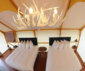 Photo 5 - Royal Gorge Cabins