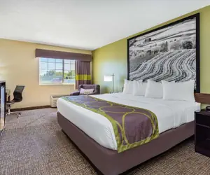 Photo 5 - Emmetsburg Hotel and Suites