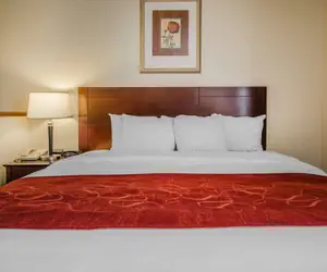 Photo 5 - Quality Suites Jeffersonville - Louisville North