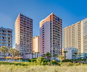 Photo 2 - The Palms by Hosteeva