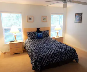 Photo 5 - Tree Top Retreat