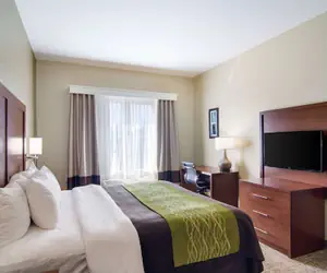Photo 4 - Comfort Inn Blackshear Hwy 84