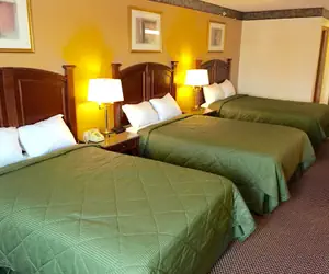 Photo 4 - Executive Inn and Suites