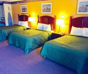 Photo 2 - Executive Inn and Suites