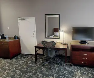 Photo 4 - Hilton Garden Inn Detroit/Novi